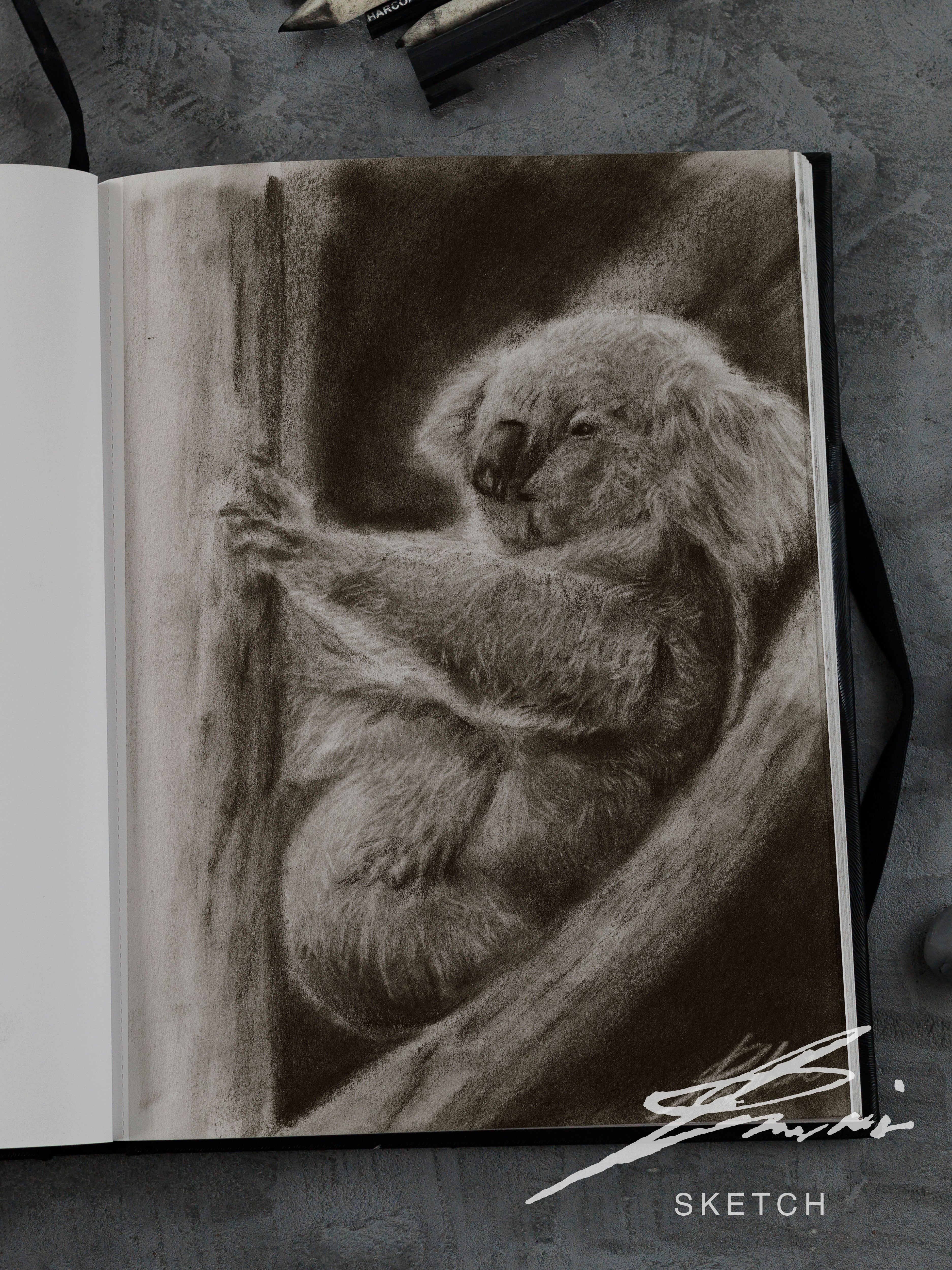 koala / Sketch limited printing