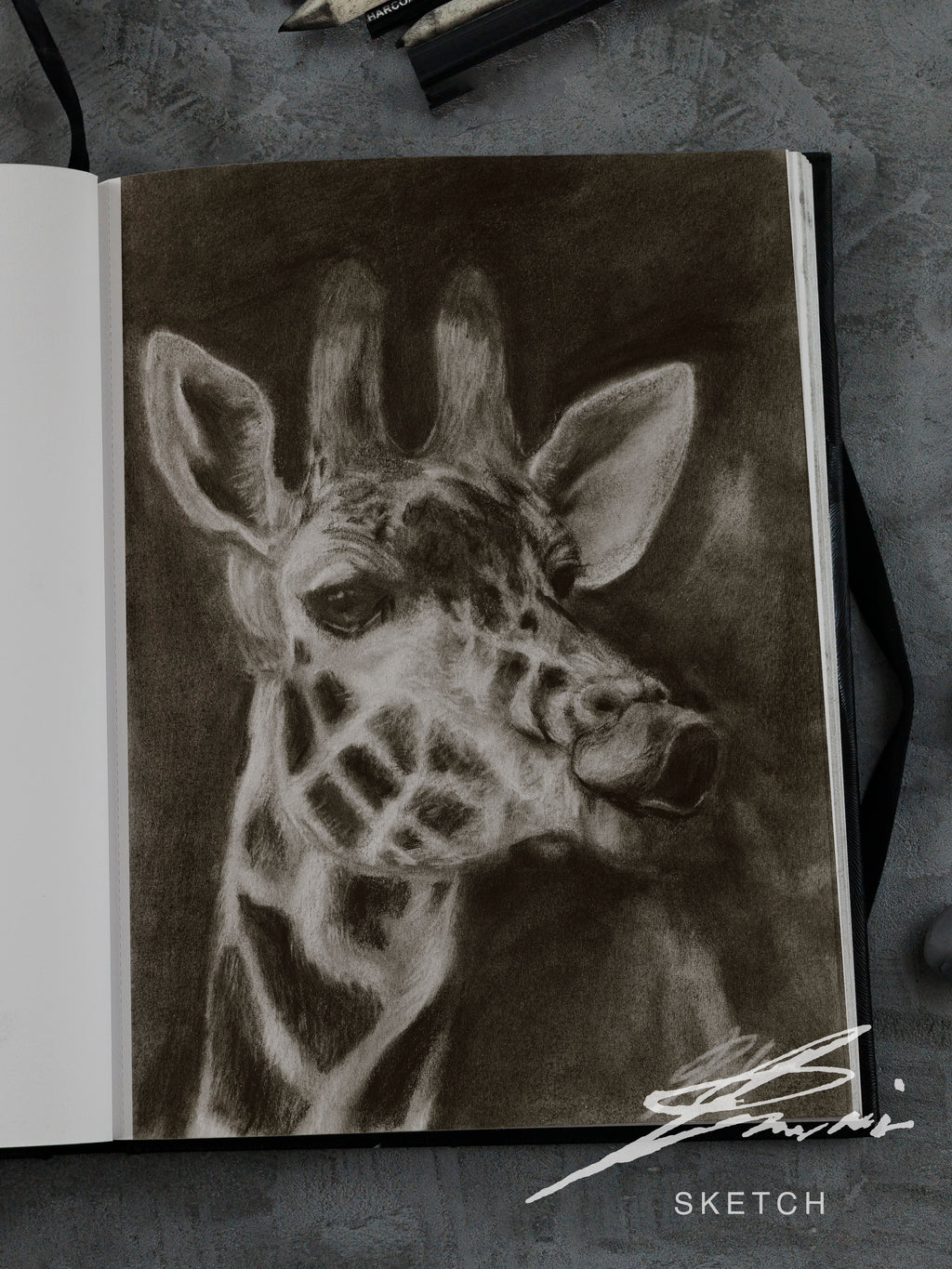 Giraffe / Sketch limited printing