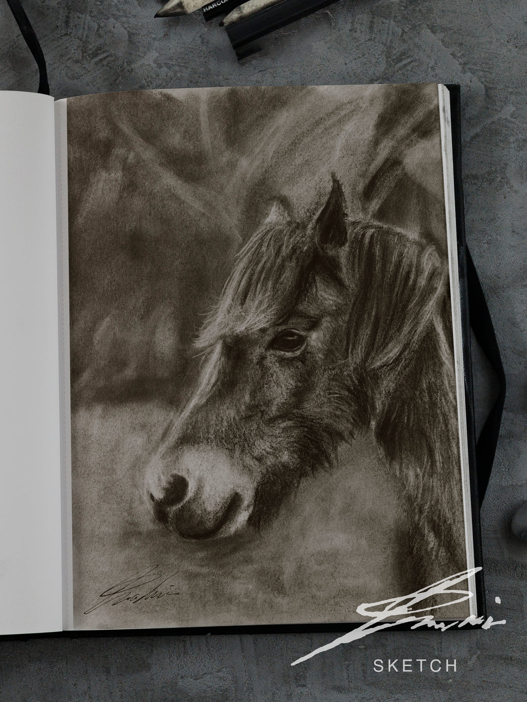 Horse 01 / Sketch limited printing