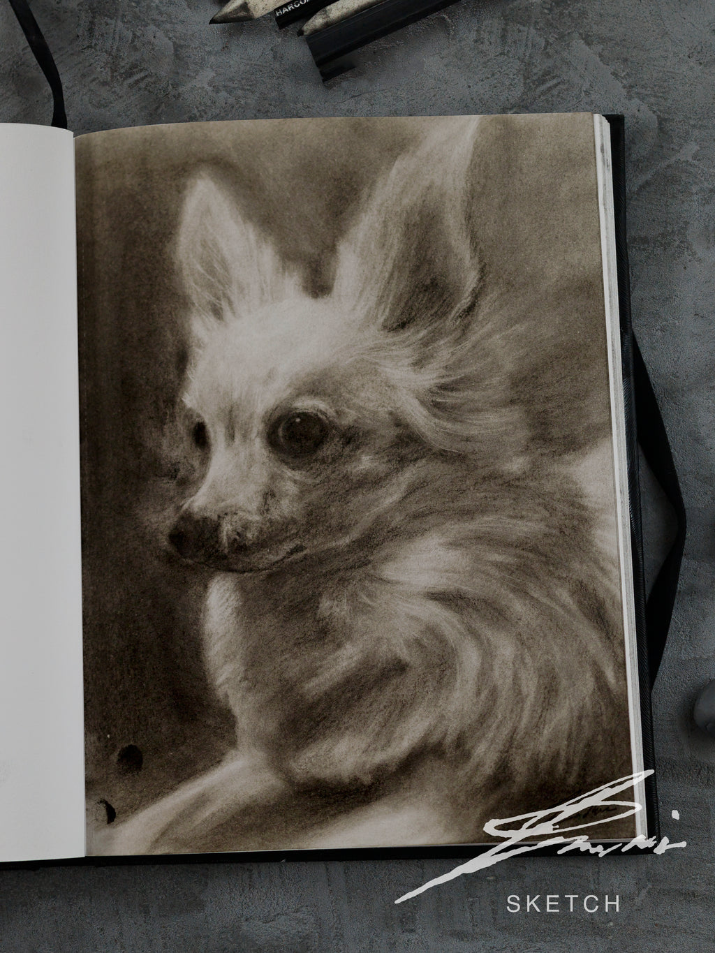 Chihuahua / Sketch limited printing