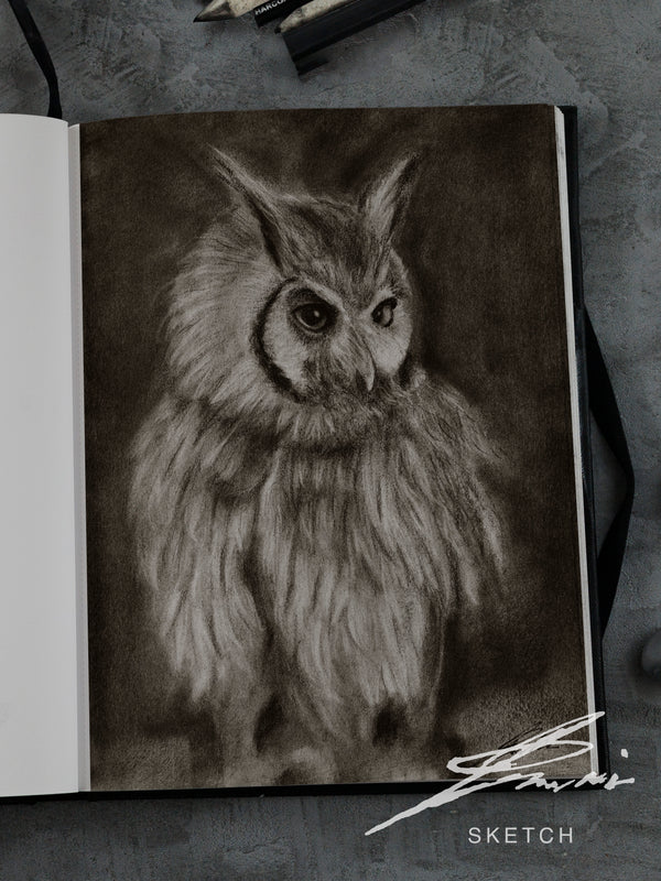 Owl / Sketch limited printing