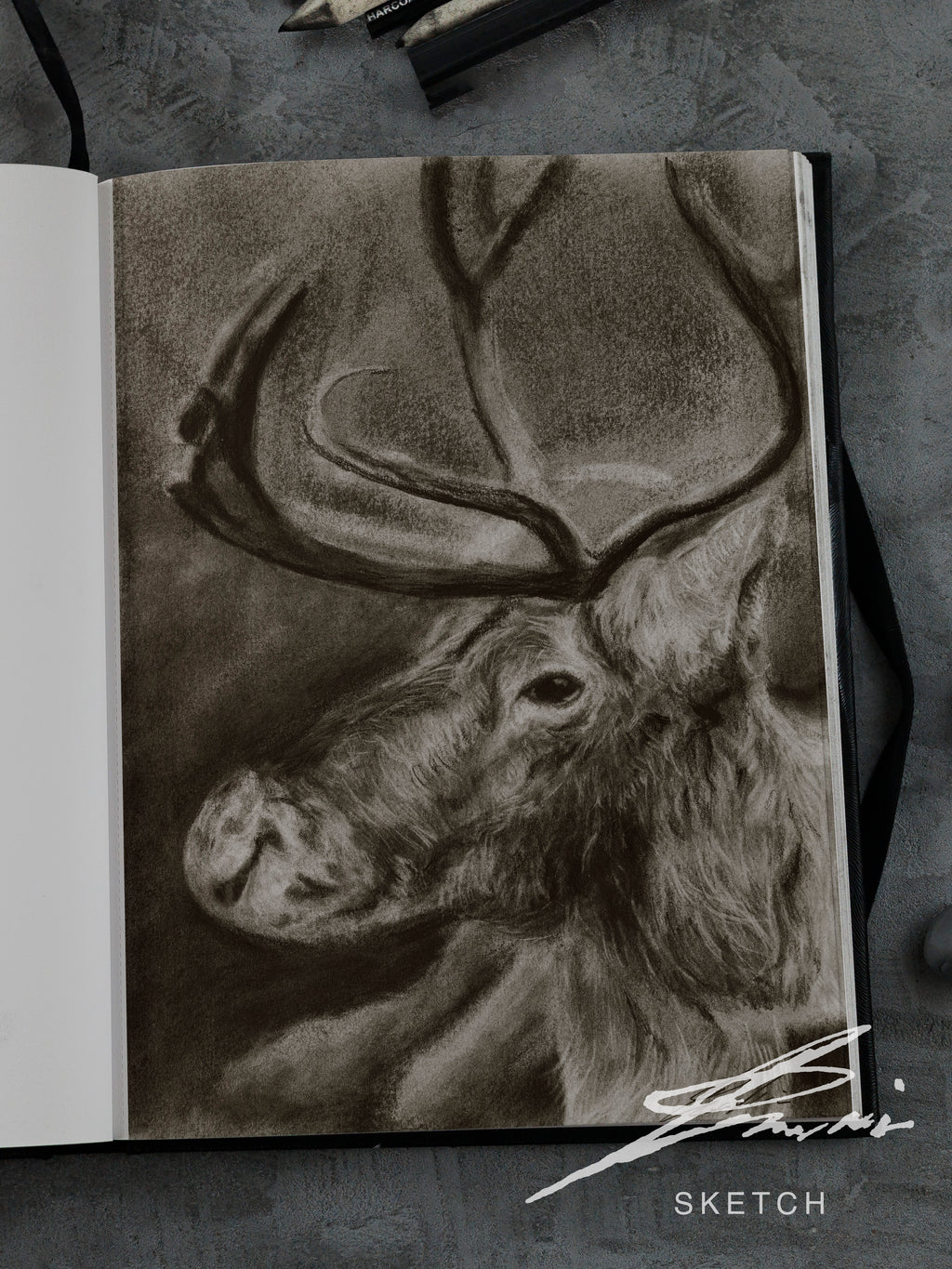 Reindeer / Sketch limited printing