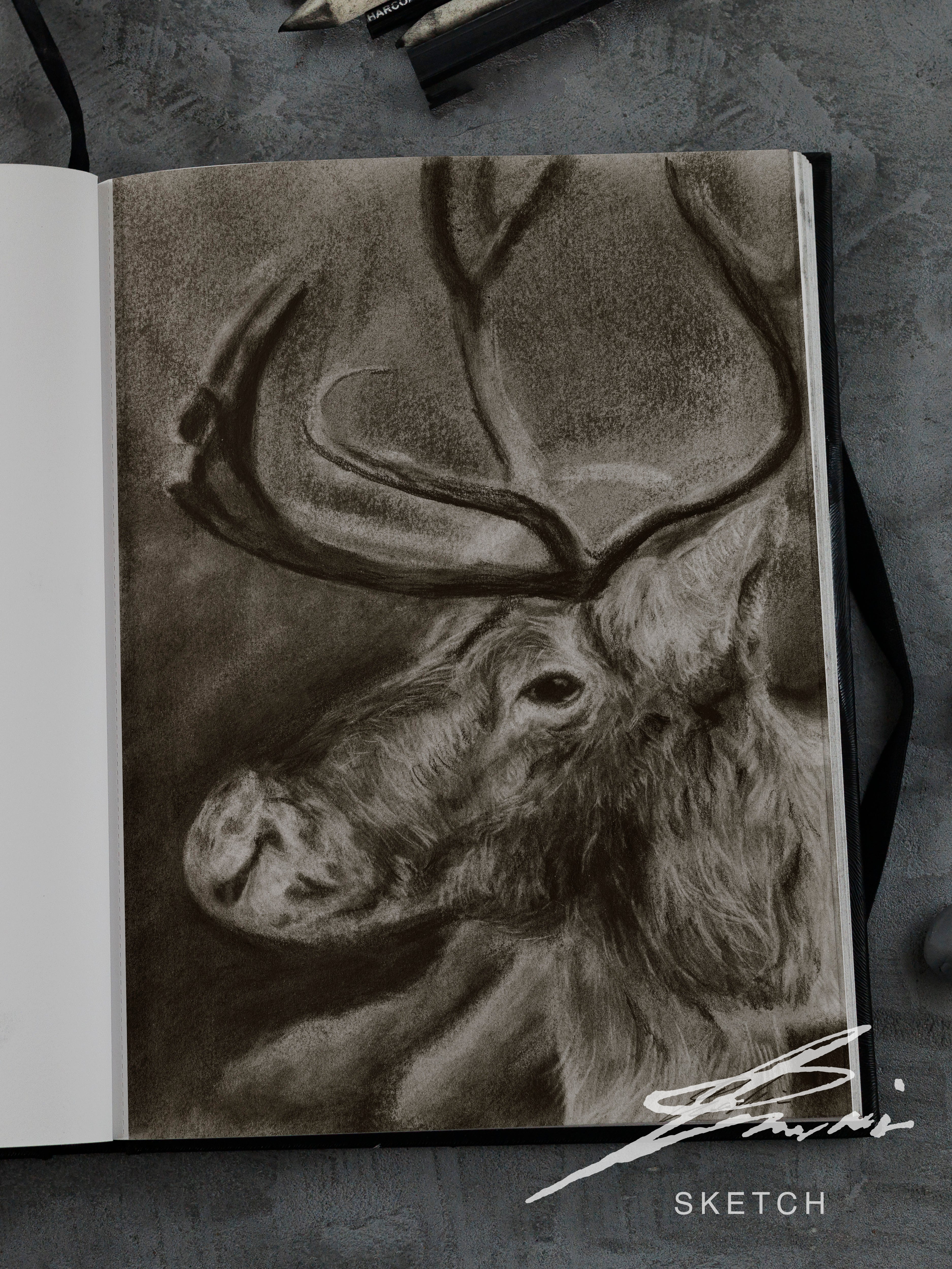 Reindeer / Sketch limited printing