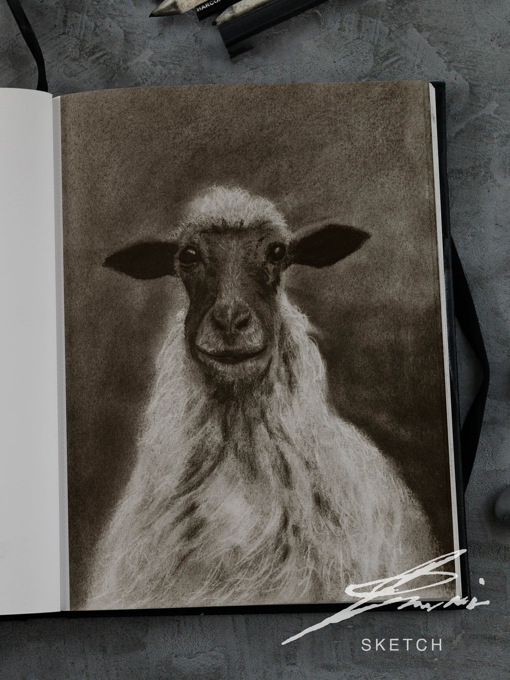 Sheep / Sketch limited printing