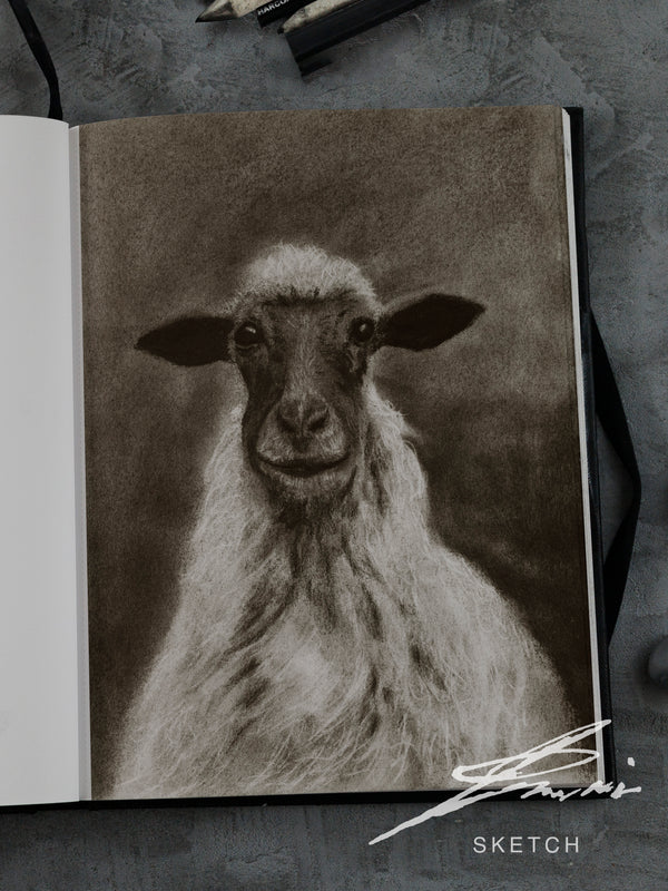 Sheep / Sketch limited printing
