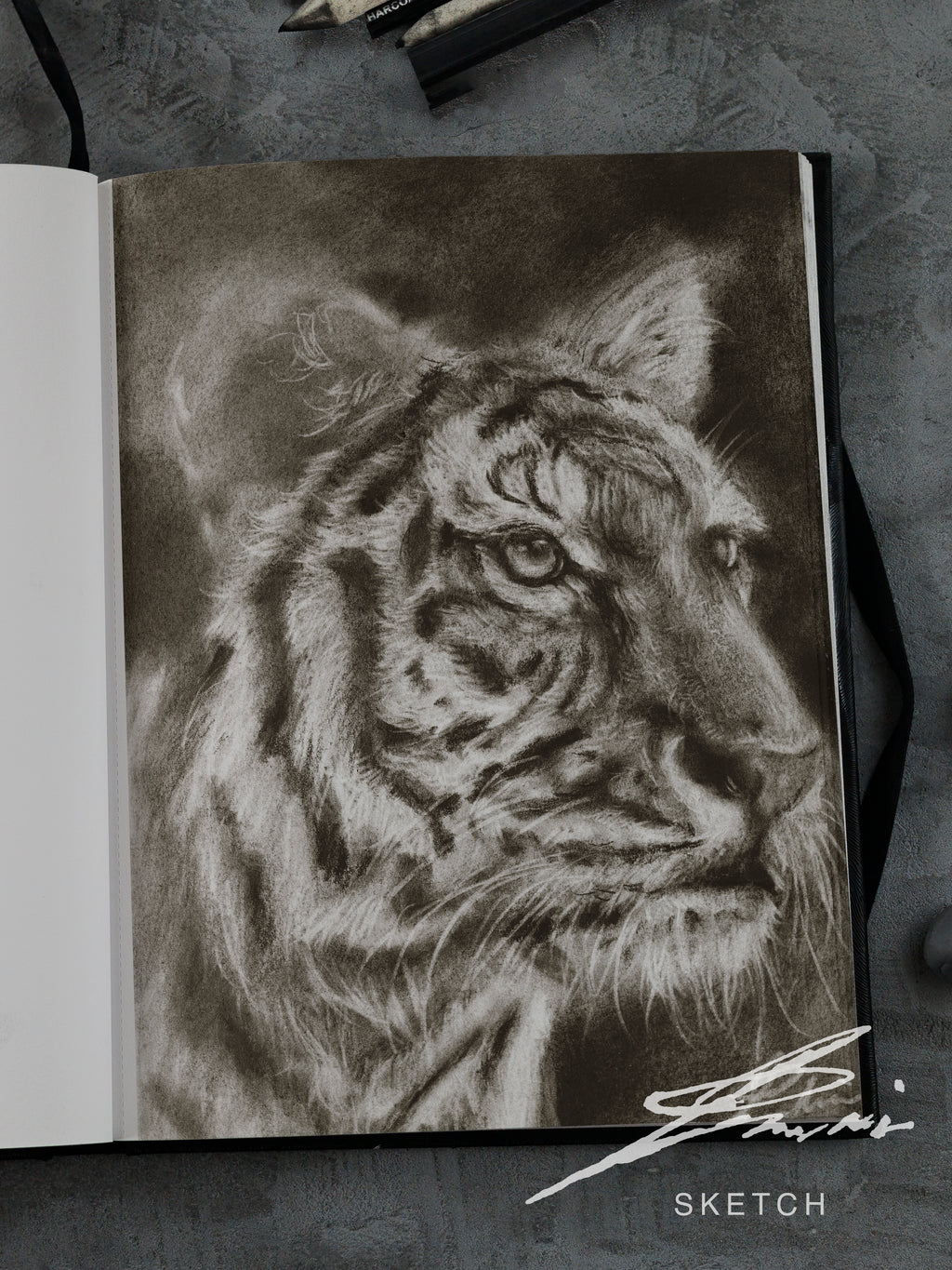 Tiger 01 / Sketch limited printing