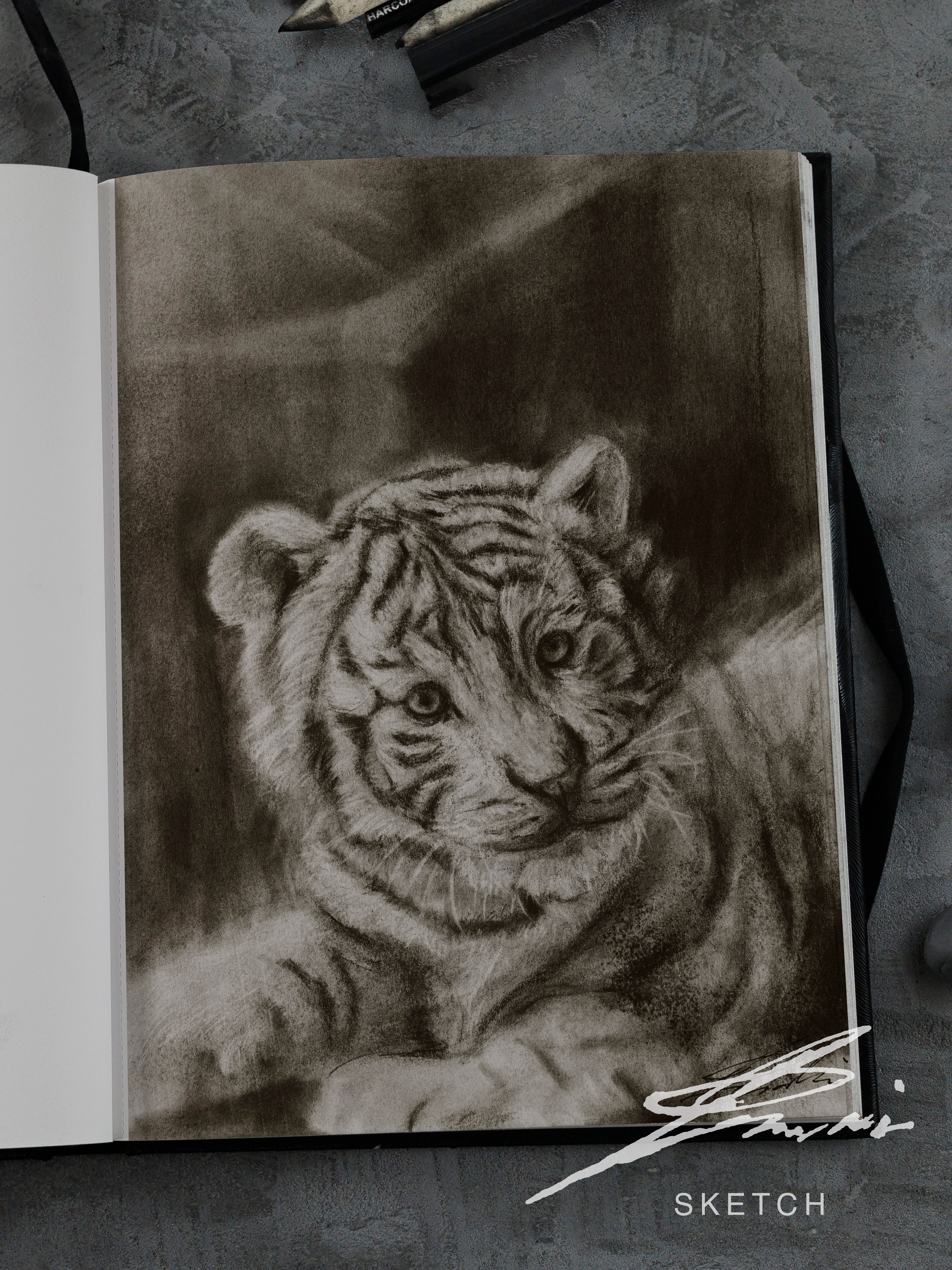 White tiger 01 / Sketch limited printing