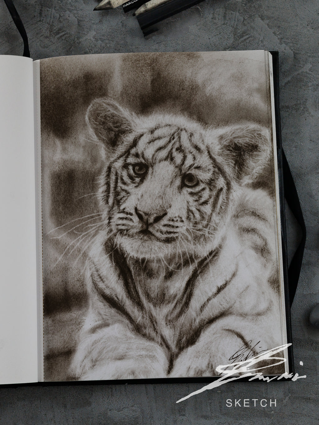 White tiger 02 / Sketch limited printing