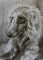 Miniature Dachshund 01 / Sketch limited printing