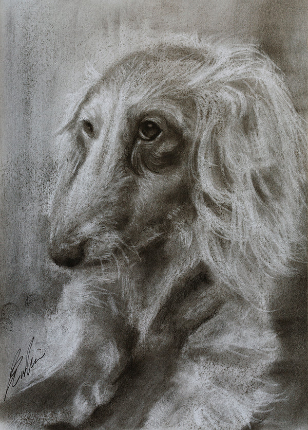 Miniature Dachshund 01 / Sketch limited printing
