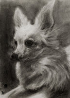 Chihuahua / Sketch limited printing