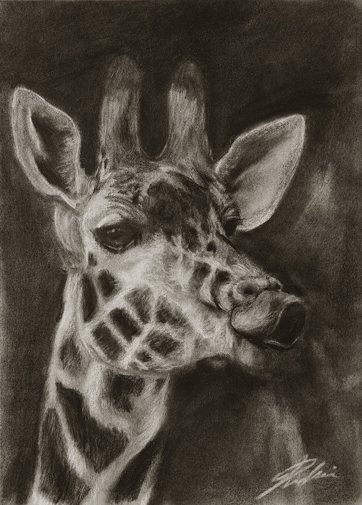 Giraffe / Sketch limited printing
