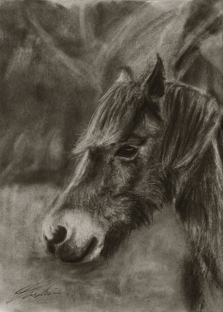 Horse 01 / Sketch limited printing