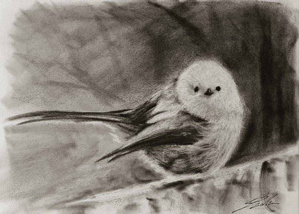 Long-tailed Tit / Sketch limited printing