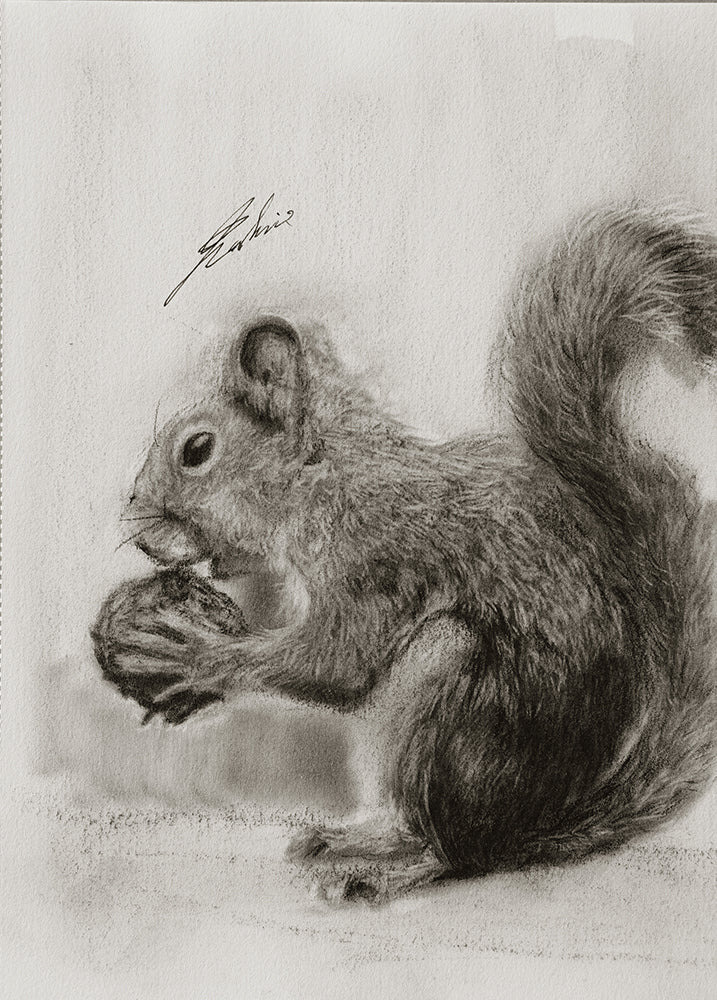 Squal / Sketch limited printing