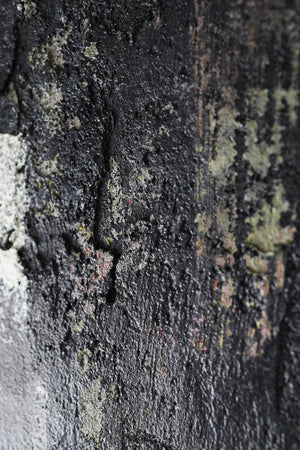 WALL