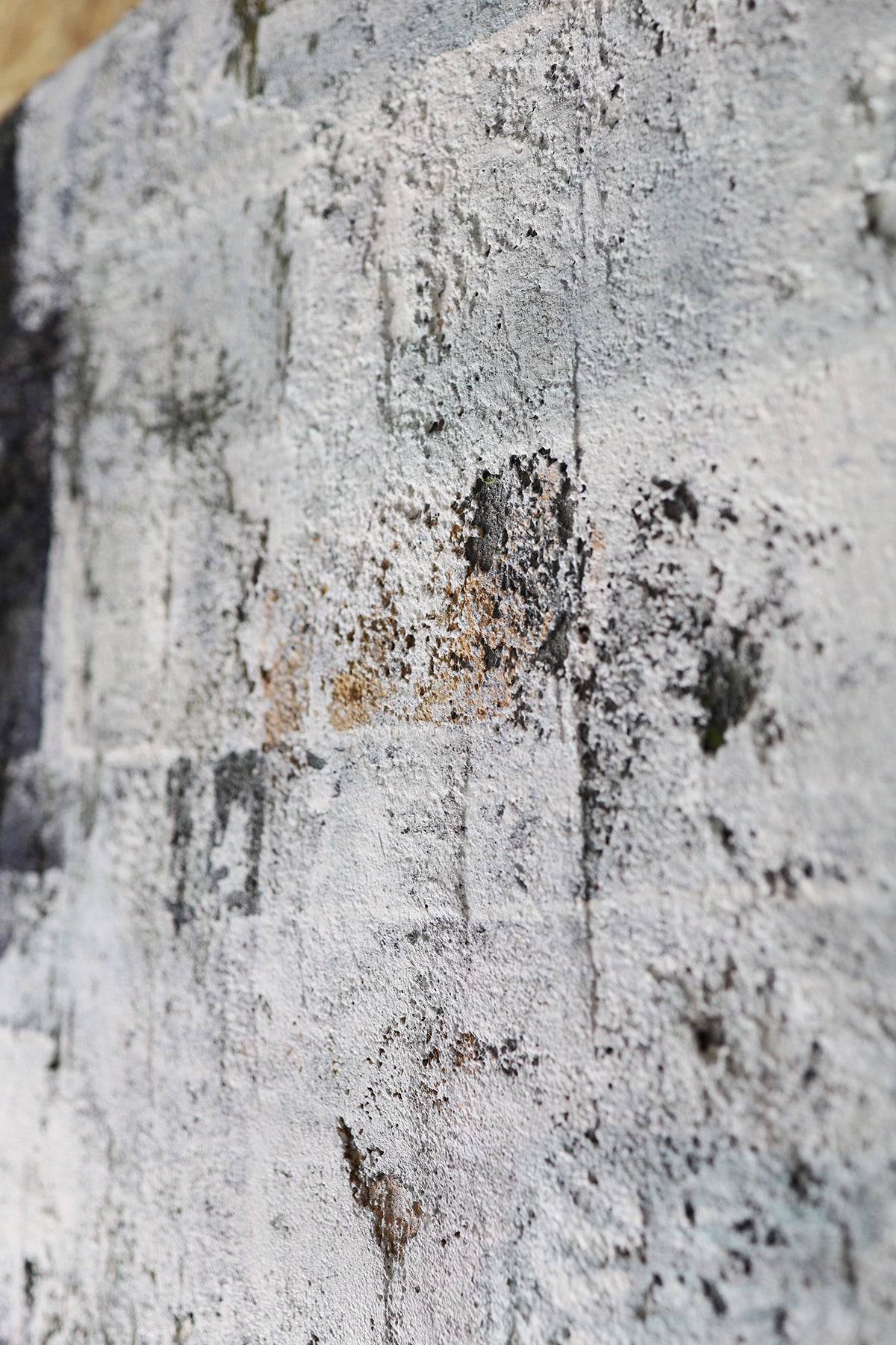 WALL