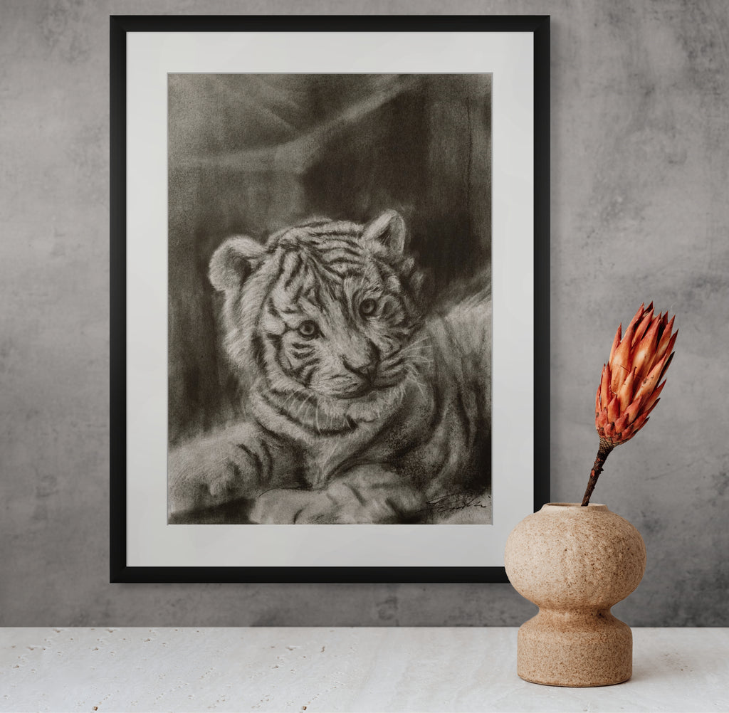 White tiger 01 / Sketch limited printing