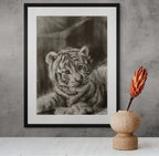 White tiger 01 / Sketch limited printing