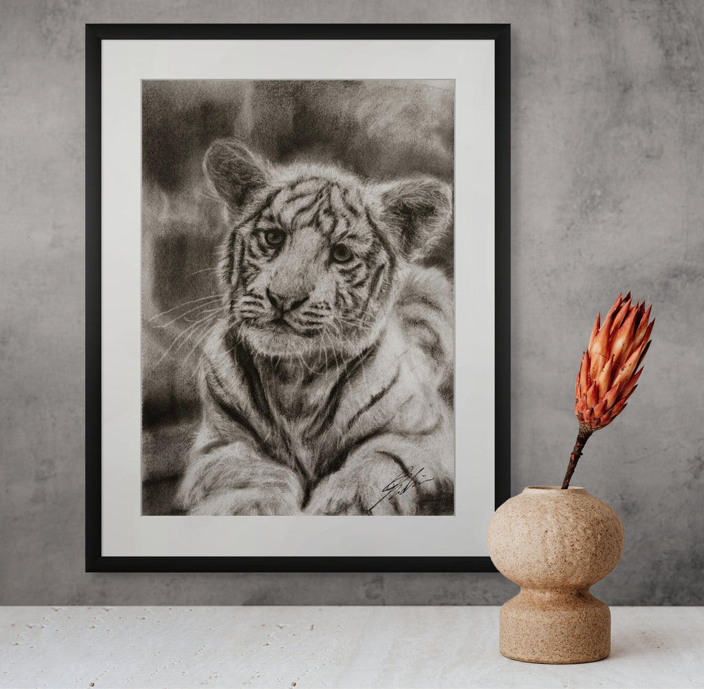 White tiger 02 / Sketch limited printing